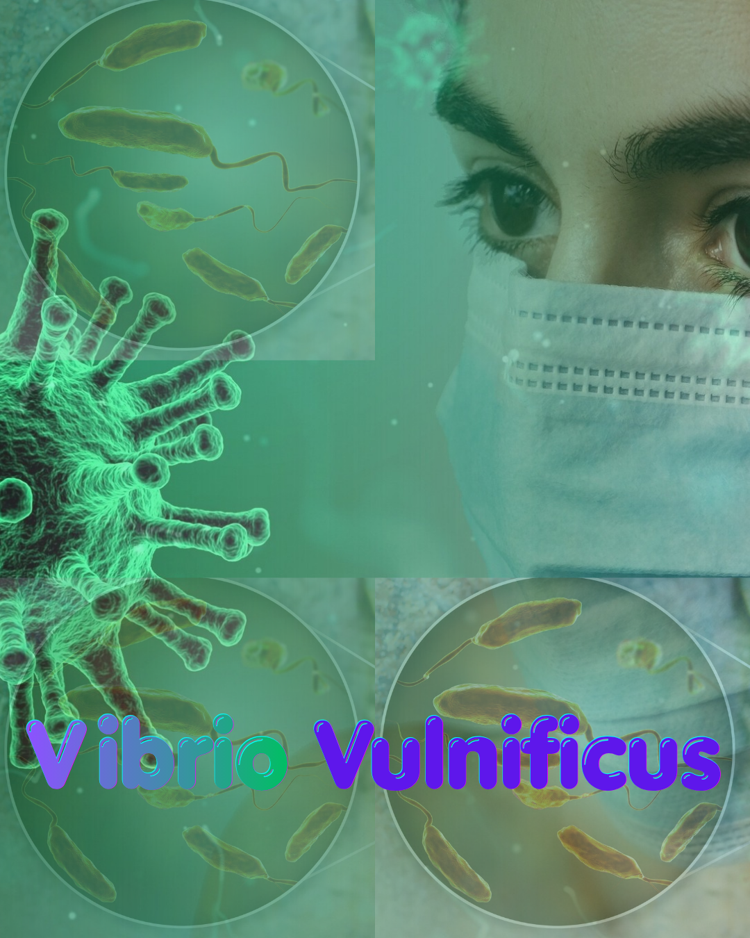 Vibrio Vulnificus